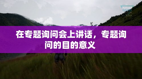 在专题询问会上讲话，专题询问的目的意义 