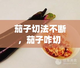 茄子切法不断，茄子咋切 