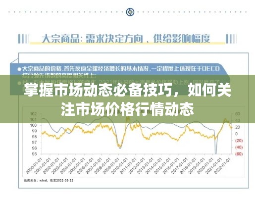 掌握市场动态必备技巧，如何关注市场价格行情动态