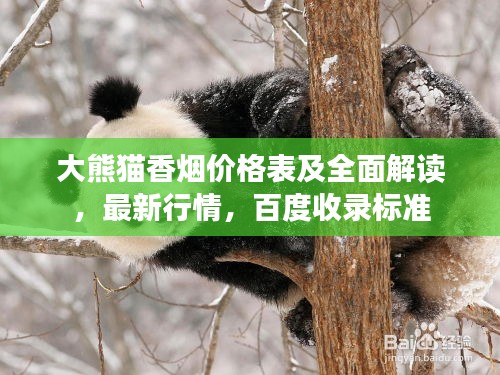 大熊猫香烟价格表及全面解读，最新行情，百度收录标准