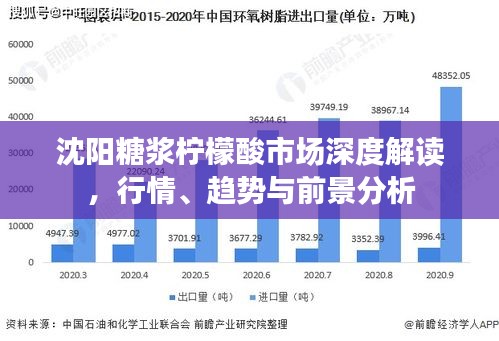 沈阳糖浆柠檬酸市场深度解读，行情、趋势与前景分析