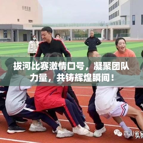 拔河比赛激情口号，凝聚团队力量，共铸辉煌瞬间！