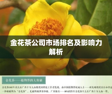 金花茶公司市场排名及影响力解析