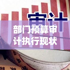 部门预算审计执行现状深度剖析