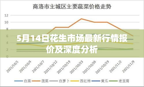 5月14日花生市场最新行情报价及深度分析