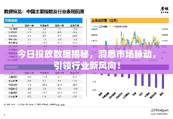 今日投放数据揭秘，洞悉市场脉动，引领行业新风向！