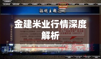 金建米业行情深度解析