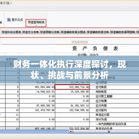 财务一体化执行深度探讨，现状、挑战与前景分析