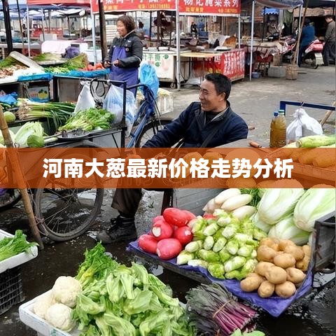 河南大葱最新价格走势分析