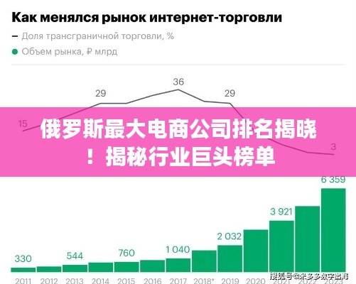 俄罗斯最大电商公司排名揭晓！揭秘行业巨头榜单