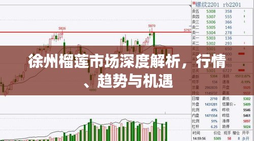 徐州榴莲市场深度解析，行情、趋势与机遇