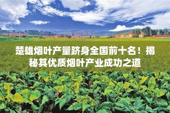 楚雄烟叶产量跻身全国前十名！揭秘其优质烟叶产业成功之道