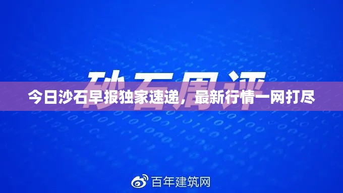 今日沙石早报独家速递，最新行情一网打尽