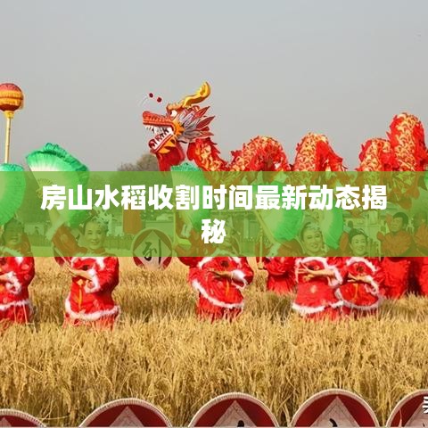 房山水稻收割时间最新动态揭秘