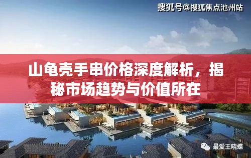 山龟壳手串价格深度解析，揭秘市场趋势与价值所在