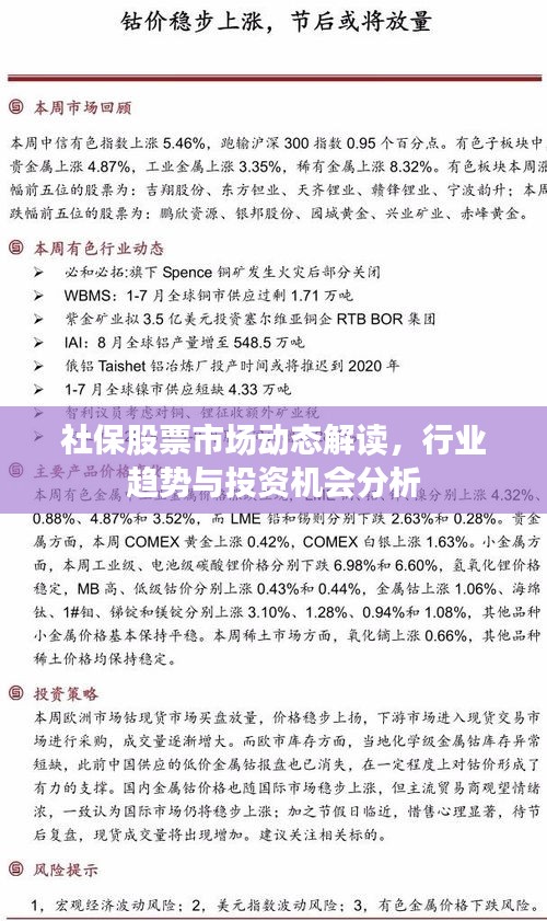 社保股票市场动态解读，行业趋势与投资机会分析