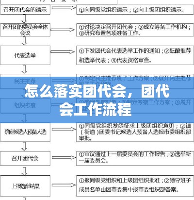 怎么落实团代会，团代会工作流程 