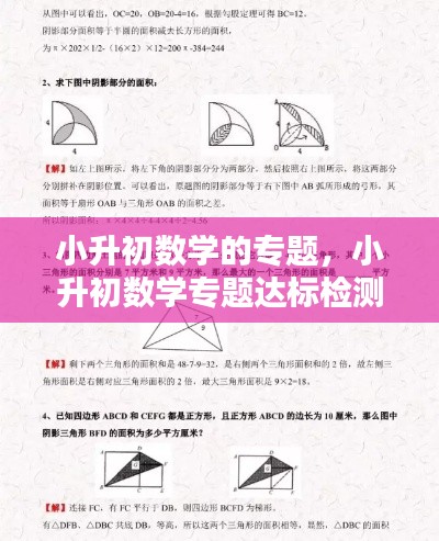 小升初数学的专题，小升初数学专题达标检测卷 