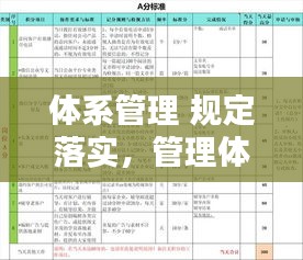 体系管理 规定落实，管理体系实施方案 