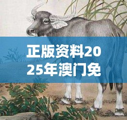 正版资料2025年澳门免费：鼠、猴、马、牛，三期必中一期