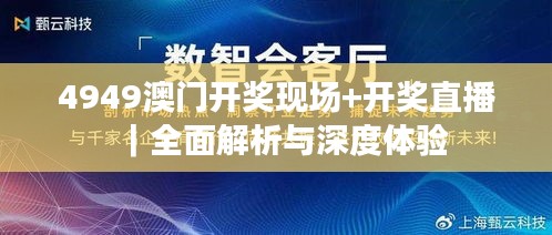 4949澳门开奖现场+开奖直播｜全面解析与深度体验