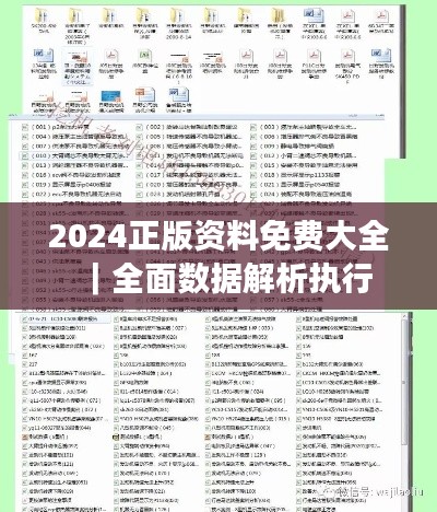 2024正版资料免费大全｜全面数据解析执行