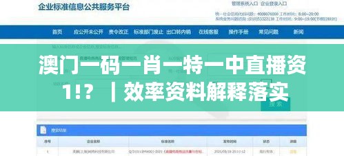 澳门一码一肖一特一中直播资 1!？｜效率资料解释落实