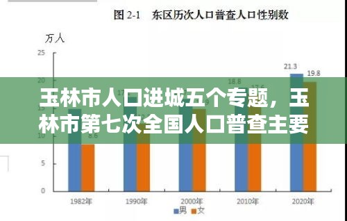 玉林市人口进城五个专题，玉林市第七次全国人口普查主要数据公报 