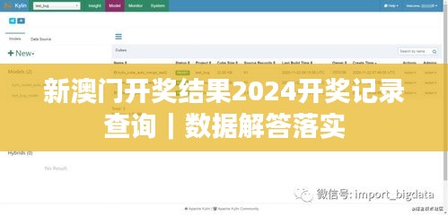 新澳门开奖结果2024开奖记录查询｜数据解答落实