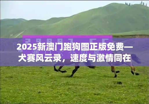 2025新澳门跑狗图正版免费—犬赛风云录，速度与激情同在