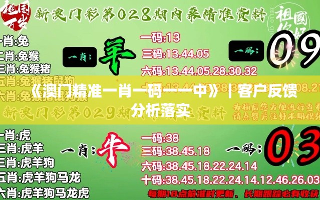 《澳门精准一肖一码一一中》｜客户反馈分析落实