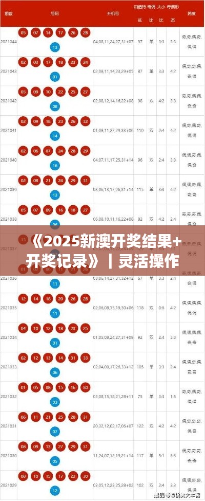 《2025新澳开奖结果+开奖记录》｜灵活操作方案设计