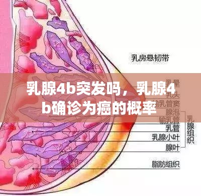 乳腺4b突发吗，乳腺4b确诊为癌的概率 