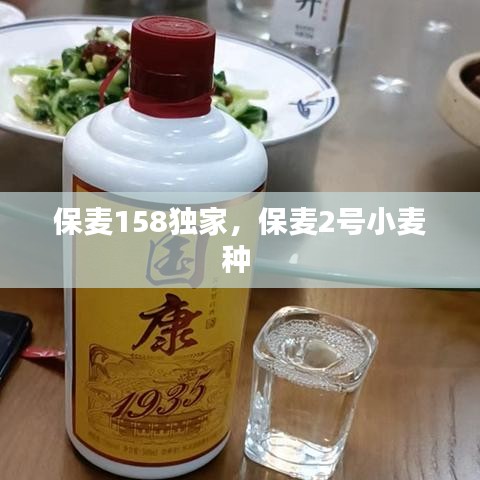 保麦158独家，保麦2号小麦种 