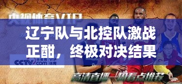 辽宁队与北控队激战正酣，终极对决结果揭晓！