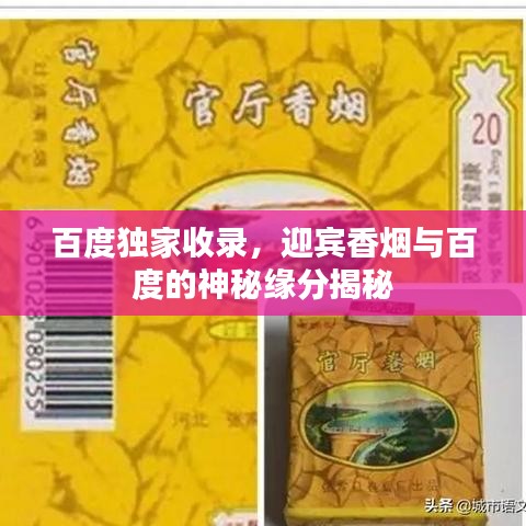 百度独家收录，迎宾香烟与百度的神秘缘分揭秘