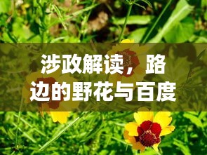 涉政解读，路边的野花与百度下的自然与社会探讨