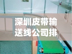 深圳皮带输送线公司排行榜及行业影响力解析