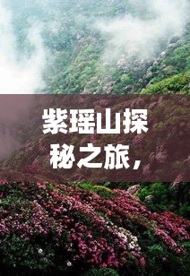 紫瑶山探秘之旅，绝美风光与实用攻略全掌握