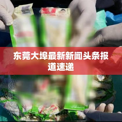 东莞大埠最新新闻头条报道速递