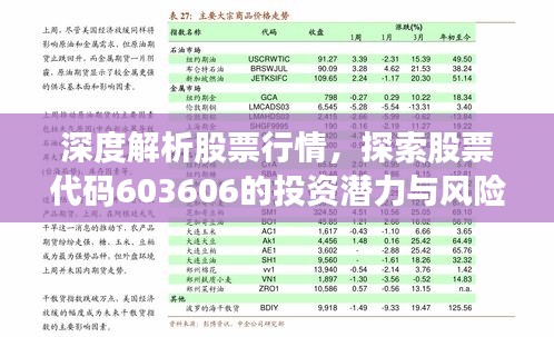 深度解析股票行情，探索股票代码603606的投资潜力与风险挑战