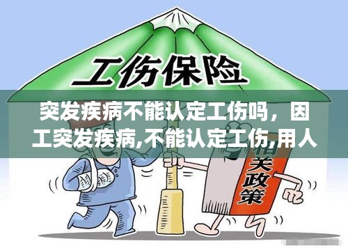 突发疾病不能认定工伤吗，因工突发疾病,不能认定工伤,用人单作应承担什么任务? 