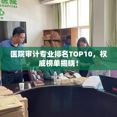 医院审计专业排名TOP10，权威榜单揭晓！