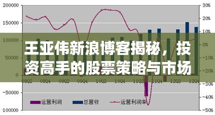 王亚伟新浪博客揭秘，投资高手的股票策略与市场洞察之道