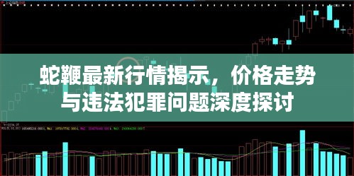 蛇鞭最新行情揭示，价格走势与违法犯罪问题深度探讨