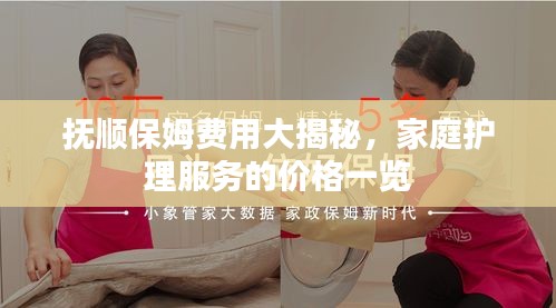 抚顺保姆费用大揭秘，家庭护理服务的价格一览