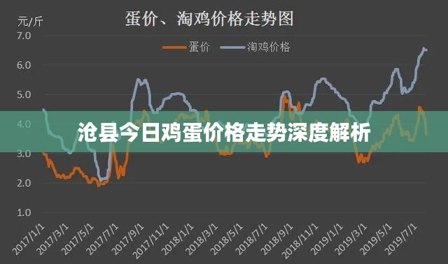 沧县今日鸡蛋价格走势深度解析