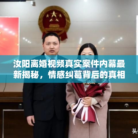 汝阳离婚视频真实案件内幕最新揭秘，情感纠葛背后的真相