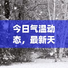 今日气温动态，最新天气预报与详细分析解读