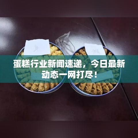 蛋糕行业新闻速递，今日最新动态一网打尽！